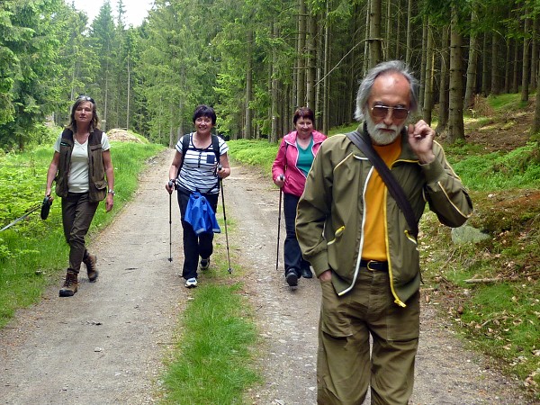 Ausflug zum Hohen Stein und zu den Bisons 31.5.2015