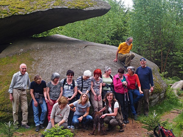 Ausflug zum Hohen Stein und zu den Bisons 31.5.2015