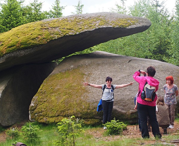 Ausflug zum Hohen Stein und zu den Bisons 31.5.2015