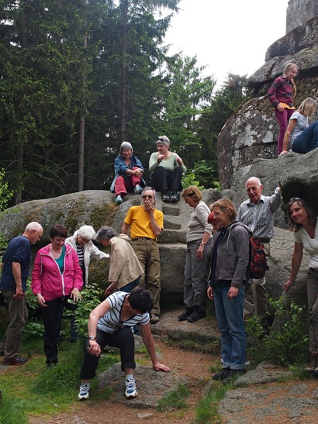 Ausflug zum Hohen Stein und zu den Bisons 31.5.2015