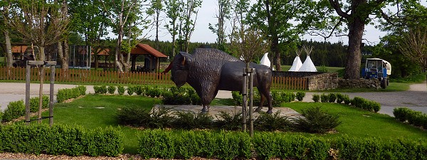 Ausflug zum Hohen Stein und zu den Bisons 31.5.2015