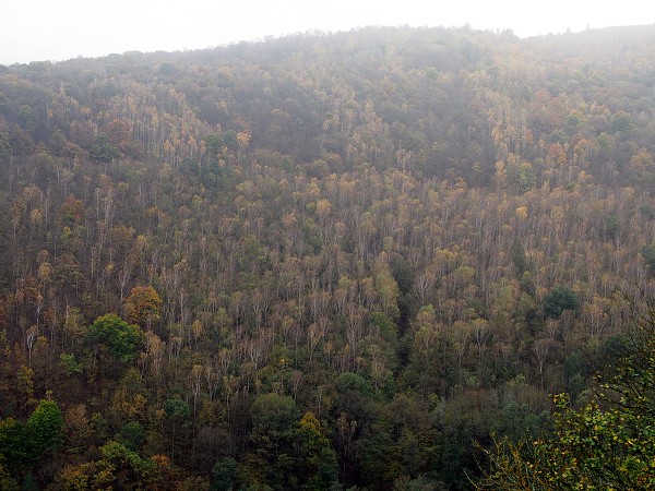 Nový Hrádek/Neuhäusel 19.10.2014