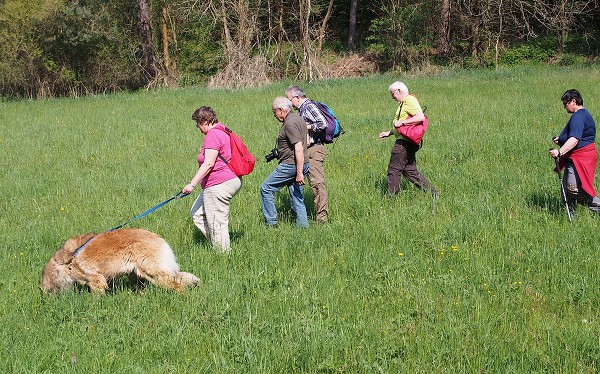 Wanderung zur Burg BítovPutovábí ke hrad Bítovu1.5.