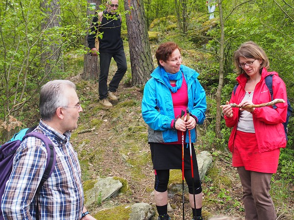 Wanderung zur Burg BítovPutovábí ke hrad Bítovu1.5.