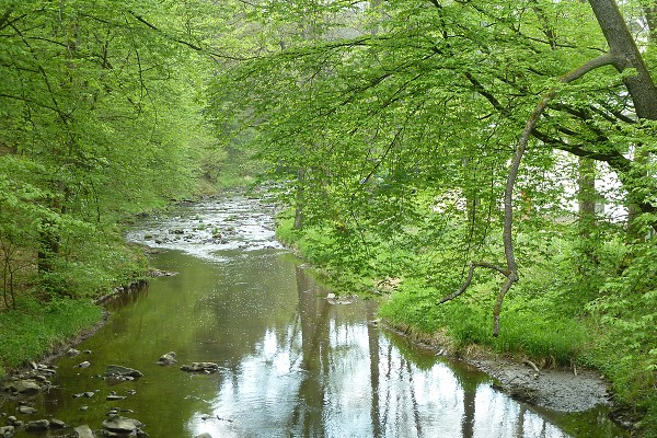 Wanderung zur Burg BítovPutovábí ke hrad Bítovu1.5.