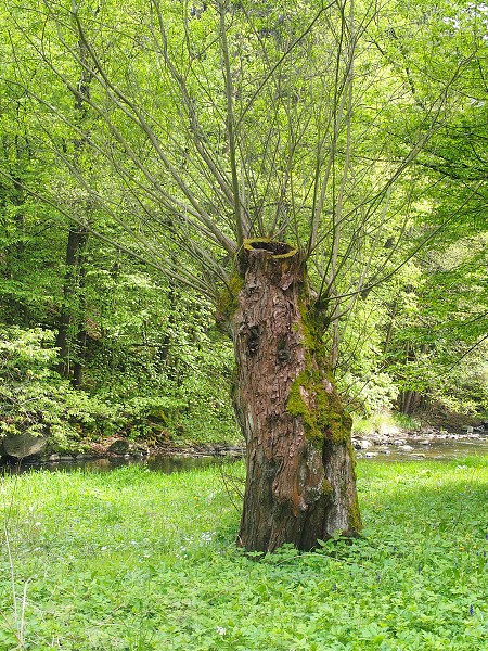 Wanderung zur Burg BítovPutovábí ke hrad Bítovu1.5.