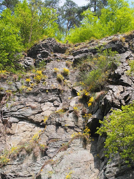 Wanderung zur Burg BítovPutovábí ke hrad Bítovu1.5.