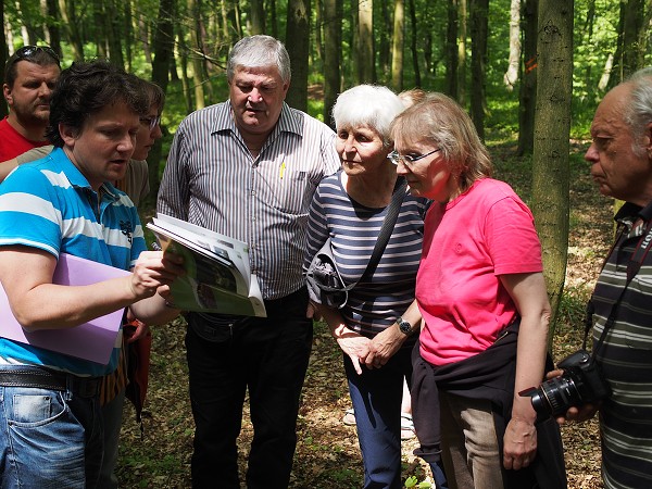 Zornstein 25.5.2014